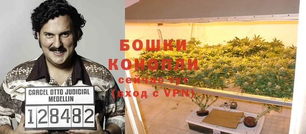гашик Аркадак