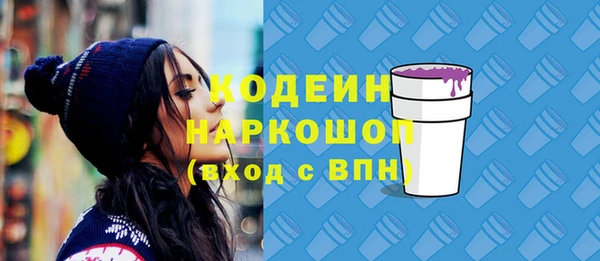 гашик Аркадак